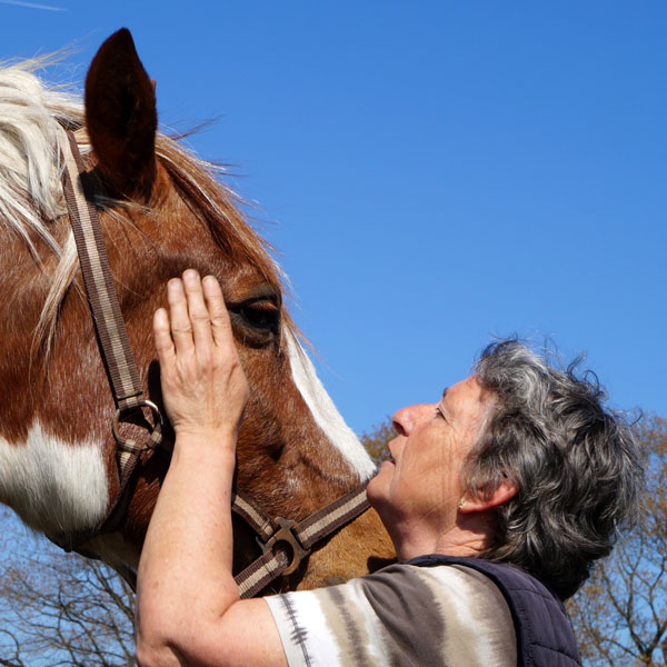 Paardencoaching